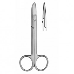 Crown And Gold Scissors