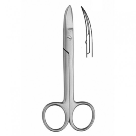 Crown And Gold Scissors