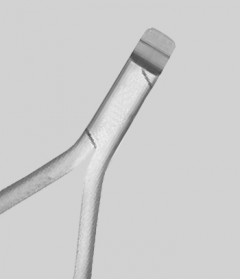 Lingual Pliers